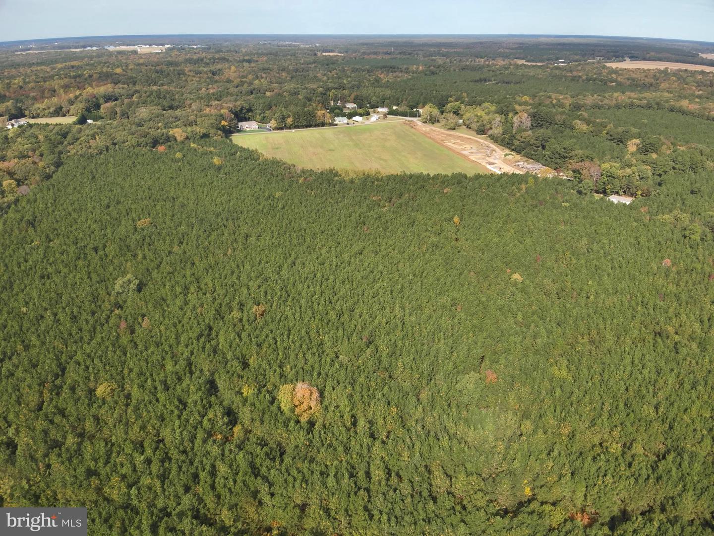 DESU2100052-804290814930-2025-11-05-14-23-26 0 Rt 317 | Georgetown, DE Real Estate For Sale | MLS# Desu2100052 - Jack Lingo REALTOR DESU2100052-804290814930-2025-11-05-14-23-26 0 Rt 317 | Georgetown, DE Real Estate For Sale | MLS# Desu2100052 - Jack Lingo REALTOR