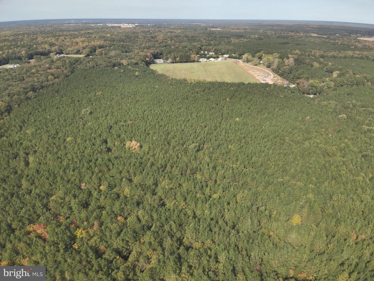 DESU2100052-804290815068-2025-11-05-14-23-26 0 Rt 317 | Georgetown, DE Real Estate For Sale | MLS# Desu2100052 - Jack Lingo REALTOR DESU2100052-804290815068-2025-11-05-14-23-26 0 Rt 317 | Georgetown, DE Real Estate For Sale | MLS# Desu2100052 - Jack Lingo REALTOR