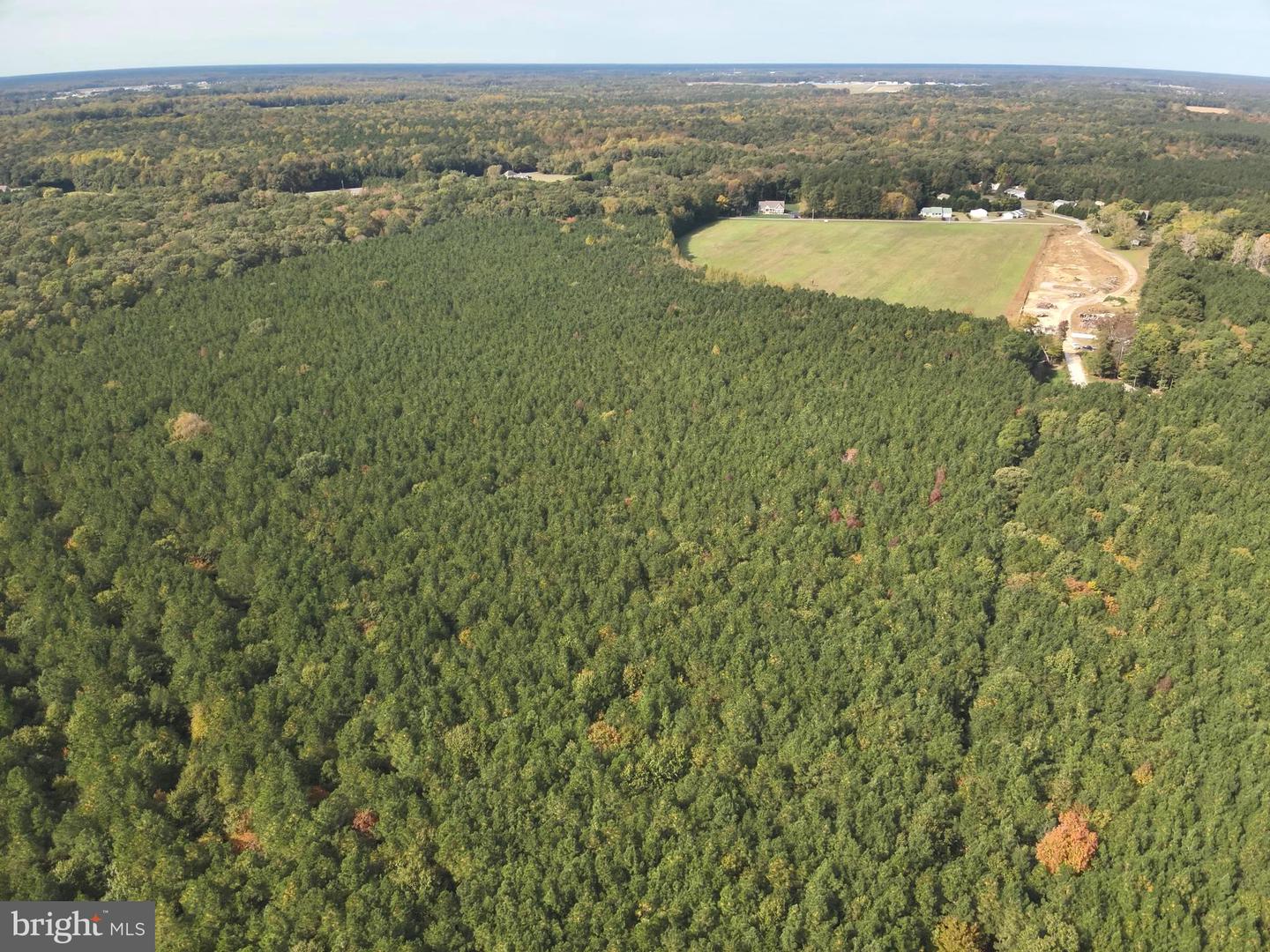 DESU2100052-804290815240-2025-11-05-14-23-26 0 Rt 317 | Georgetown, DE Real Estate For Sale | MLS# Desu2100052 - Jack Lingo REALTOR DESU2100052-804290815240-2025-11-05-14-23-26 0 Rt 317 | Georgetown, DE Real Estate For Sale | MLS# Desu2100052 - Jack Lingo REALTOR