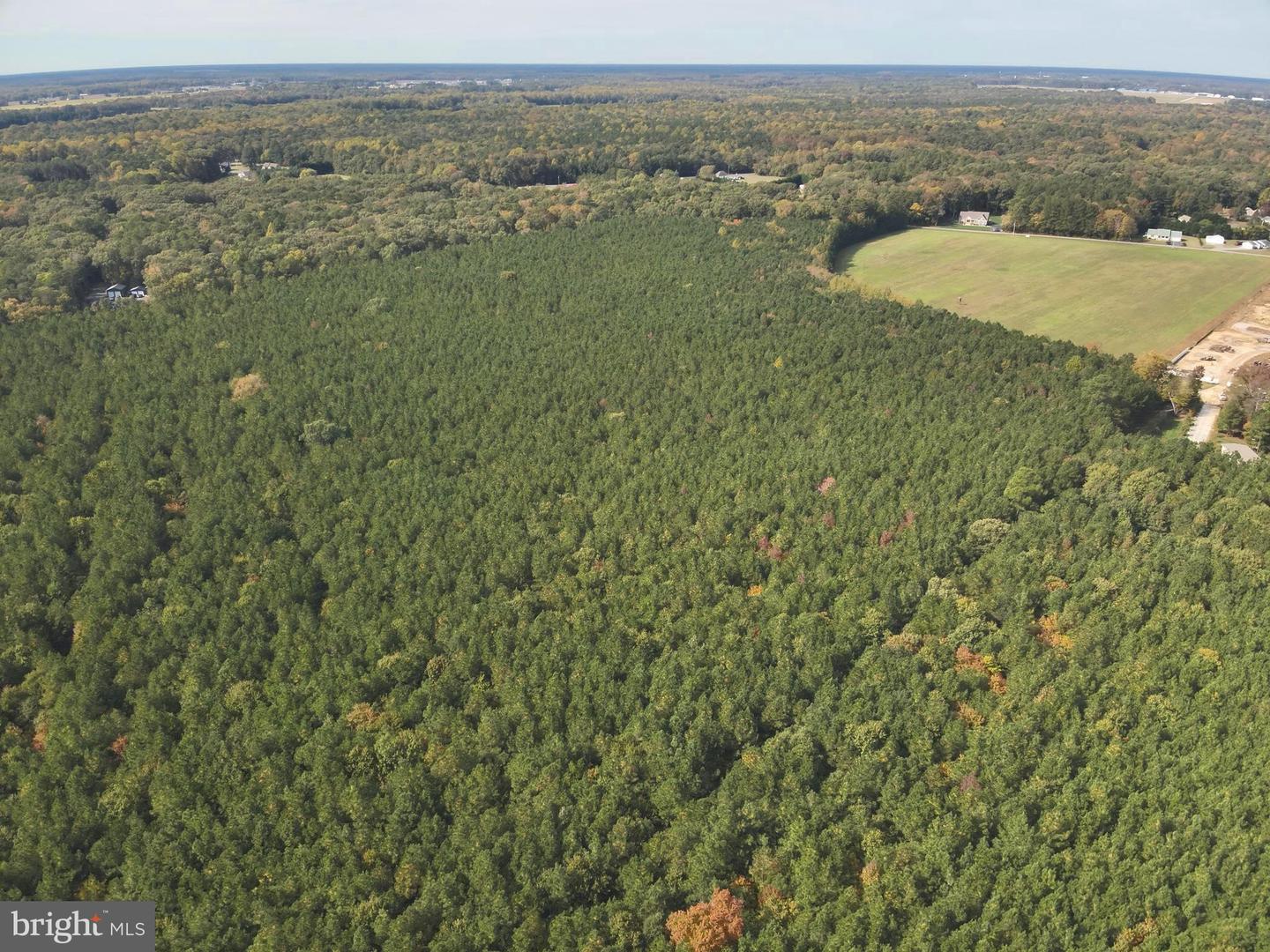 DESU2100052-804290815300-2025-11-05-14-23-26 0 Rt 317 | Georgetown, DE Real Estate For Sale | MLS# Desu2100052 - Jack Lingo REALTOR DESU2100052-804290815300-2025-11-05-14-23-26 0 Rt 317 | Georgetown, DE Real Estate For Sale | MLS# Desu2100052 - Jack Lingo REALTOR