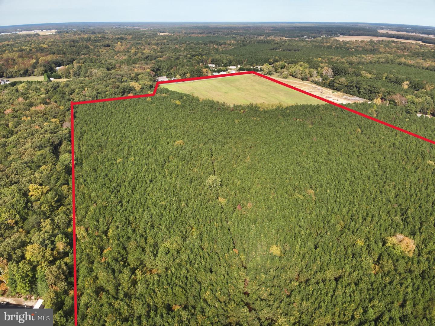 DESU2100052-804293473582-2025-11-05-14-23-27 0 Rt 317 | Georgetown, DE Real Estate For Sale | MLS# Desu2100052 - Jack Lingo REALTOR DESU2100052-804293473582-2025-11-05-14-23-27 0 Rt 317 | Georgetown, DE Real Estate For Sale | MLS# Desu2100052 - Jack Lingo REALTOR