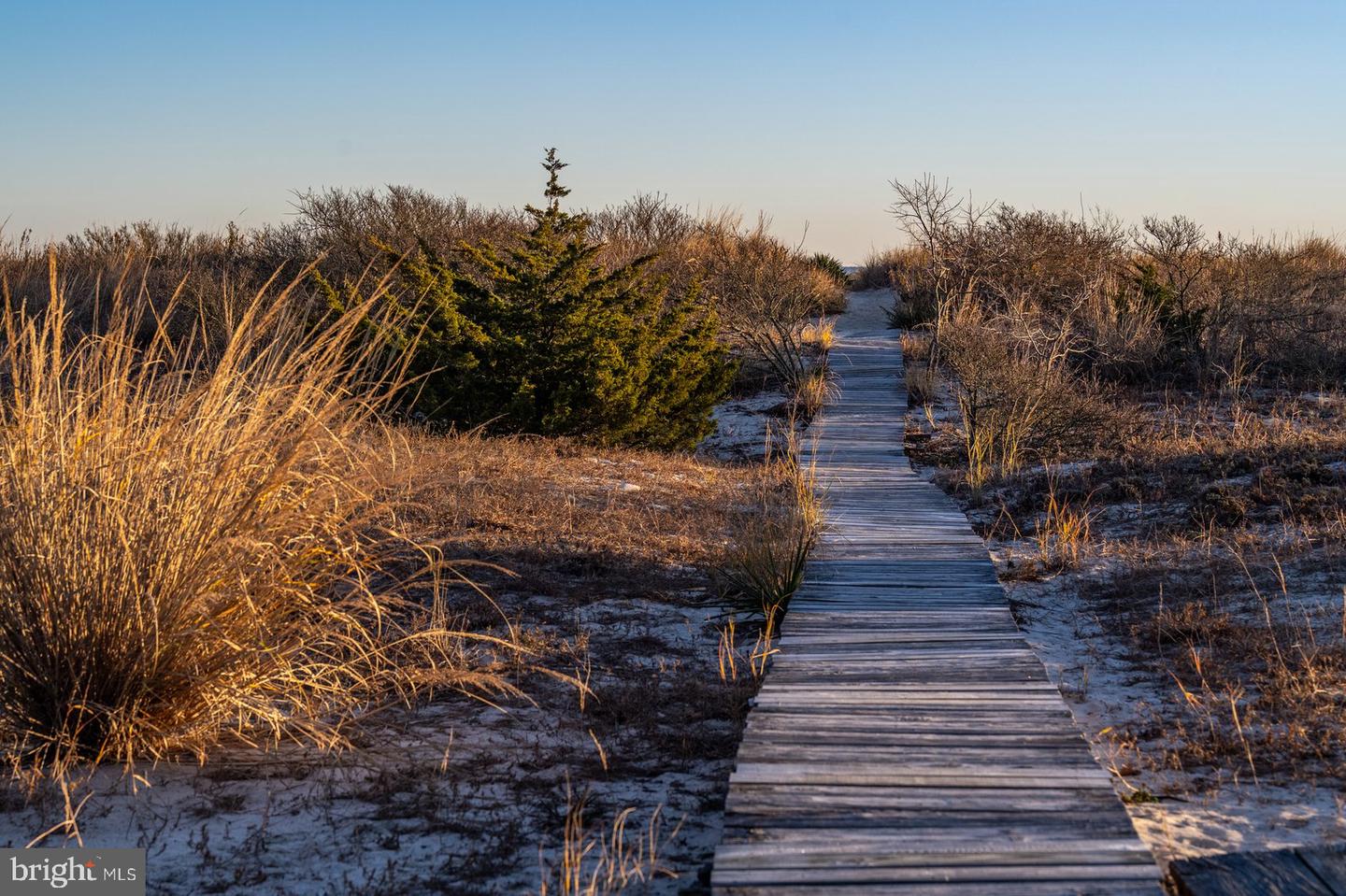 DESU2100212-804326540308-2025-12-02-00-21-31 1606 Beach Plum Dr | Milton, DE Real Estate For Sale | MLS# Desu2100212  - Jack Lingo REALTOR