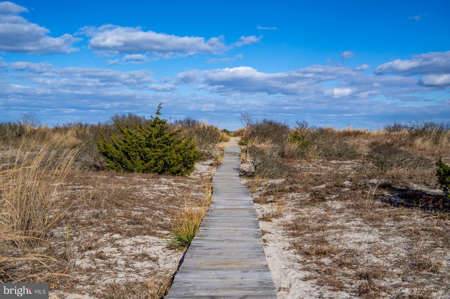DESU2100212-804326540490-2025-12-02-00-21-31 1606 Beach Plum Dr | Milton, DE Real Estate For Sale | MLS# Desu2100212  - Jack Lingo REALTOR