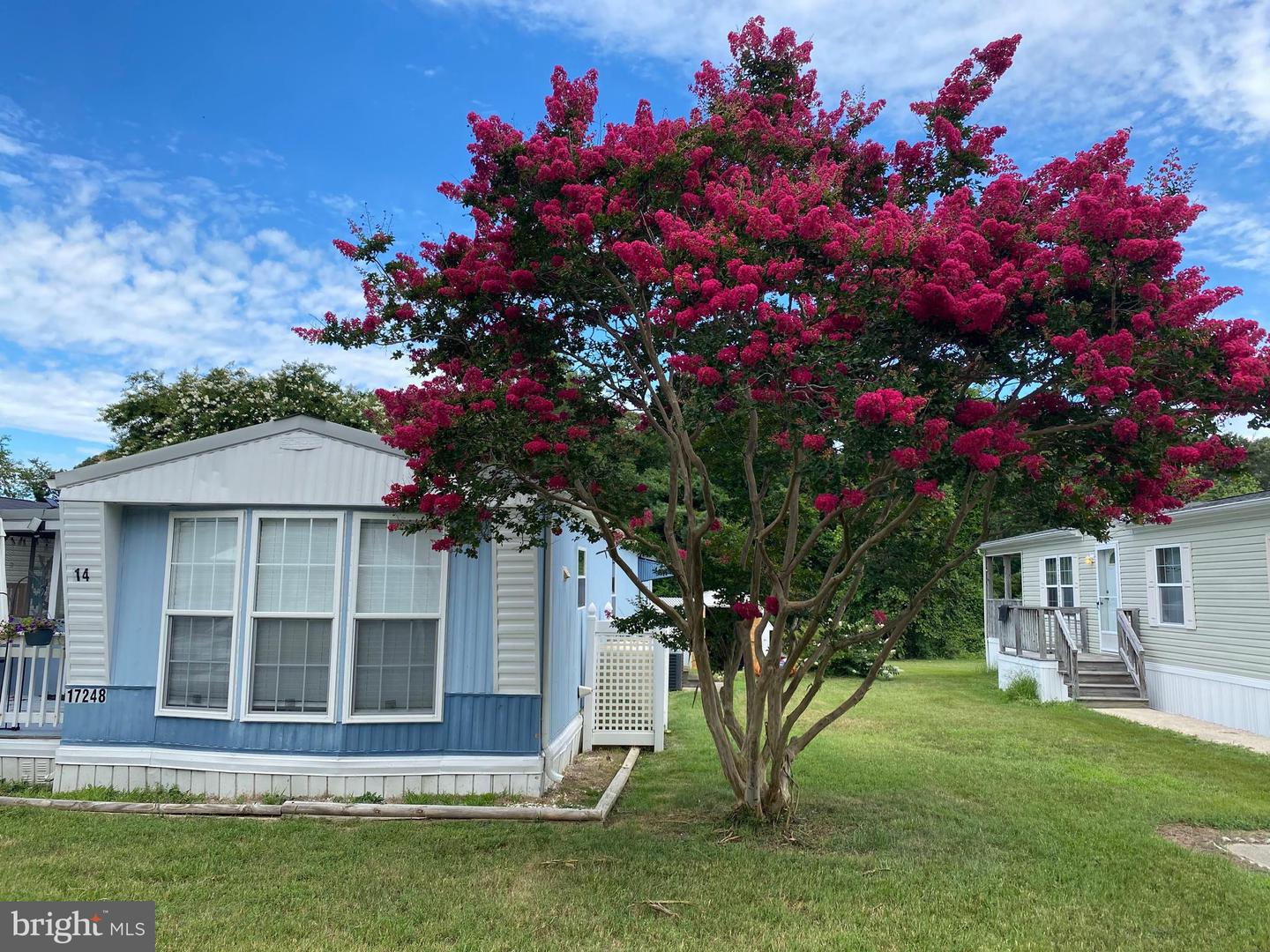 17248 PINE WATER DR, LEWES, DE - Jack Lingo Realtor