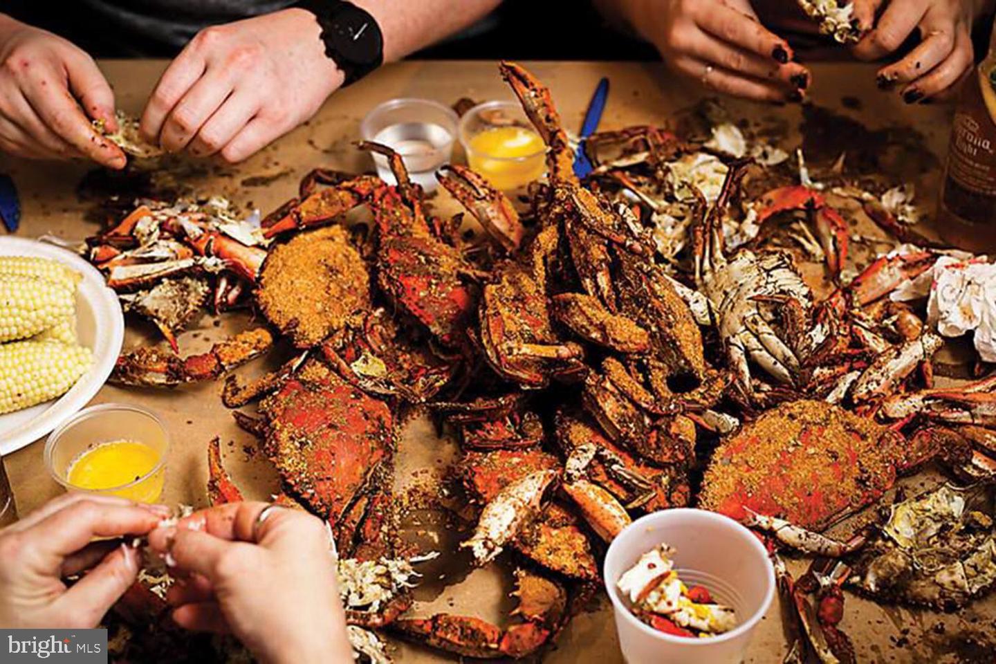 DESU2100468-804308565566-2026-01-13-20-54-25 16 Parker Dr | Millsboro, DE Real Estate For Sale | MLS# Desu2100468  - Jack Lingo REALTOR