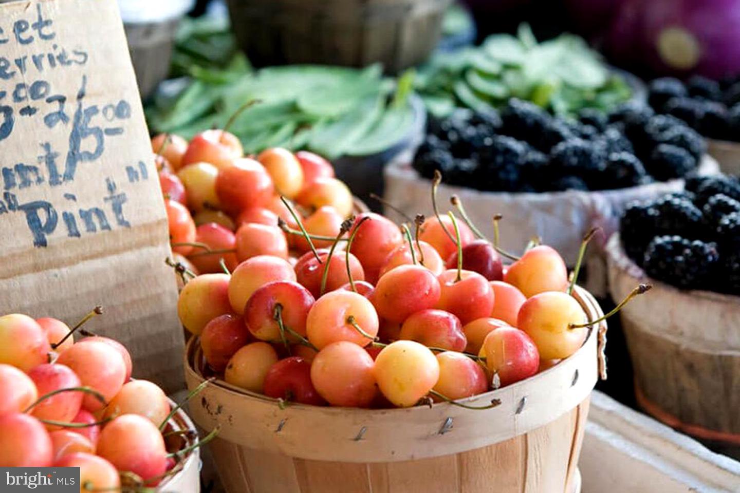 DESU2100468-804308565582-2026-01-13-20-54-29 16 Parker Dr | Millsboro, DE Real Estate For Sale | MLS# Desu2100468  - Jack Lingo REALTOR