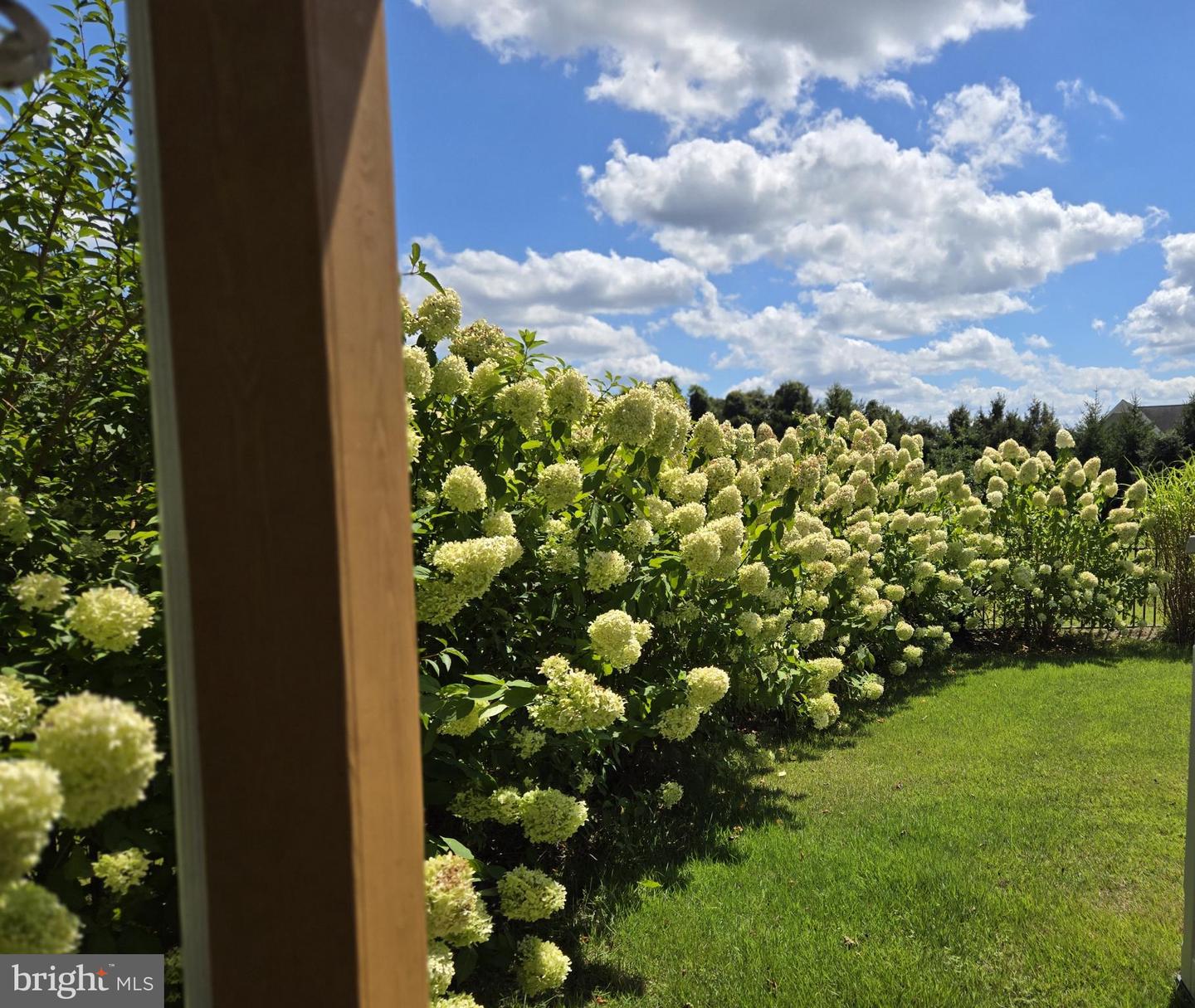 DESU2100470-804306731684-2025-11-12-10-53-42 708 Meadow Brook Ln | Milford, DE Real Estate For Sale | MLS# Desu2100470  - Jack Lingo REALTOR