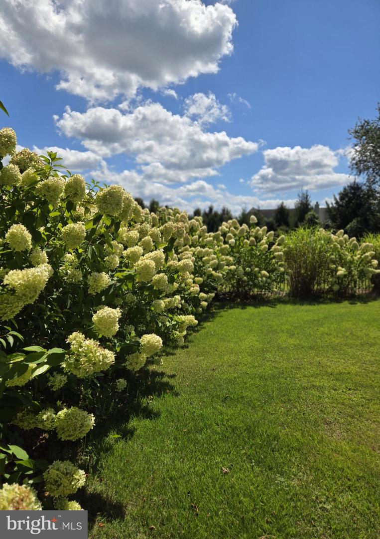 DESU2100470-804306731694-2025-11-12-10-53-41 708 Meadow Brook Ln | Milford, DE Real Estate For Sale | MLS# Desu2100470  - Jack Lingo REALTOR