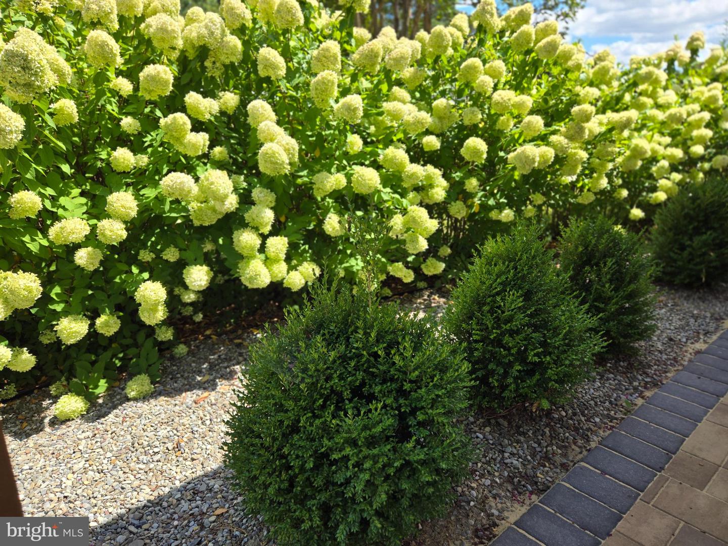 DESU2100470-804306731868-2025-11-12-10-53-33 708 Meadow Brook Ln | Milford, DE Real Estate For Sale | MLS# Desu2100470  - Jack Lingo REALTOR