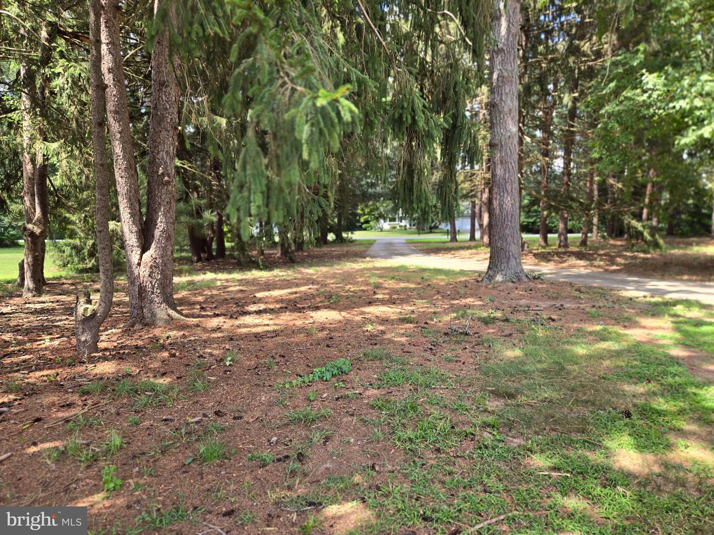 DESU2100470-804306731902-2025-11-14-09-09-33 708 Meadow Brook Ln | Milford, DE Real Estate For Sale | MLS# Desu2100470  - Jack Lingo REALTOR