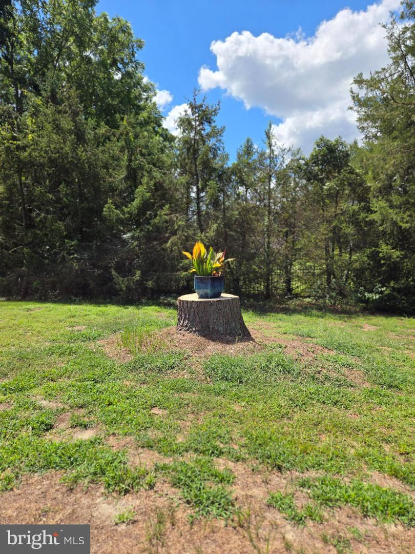 DESU2100470-804306731926-2025-11-12-10-53-35 708 Meadow Brook Ln | Milford, DE Real Estate For Sale | MLS# Desu2100470  - Jack Lingo REALTOR