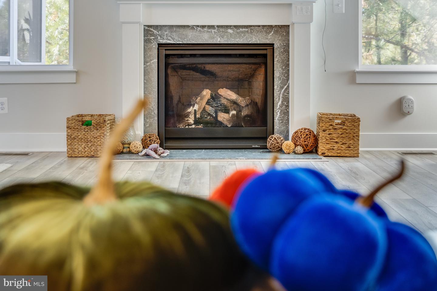 DESU2100608-804312380864-2025-11-17-10-43-55 31001 Waterview Ct | Ocean View, DE Real Estate For Sale | MLS# Desu2100608  - Jack Lingo REALTOR