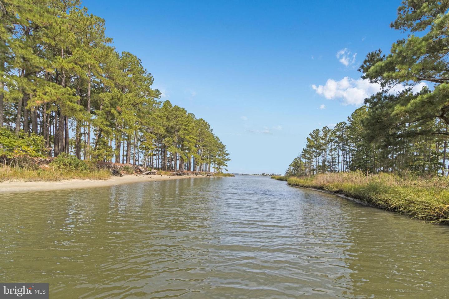 DESU2100608-804312945406-2025-11-17-10-43-53 31001 Waterview Ct | Ocean View, DE Real Estate For Sale | MLS# Desu2100608  - Jack Lingo REALTOR