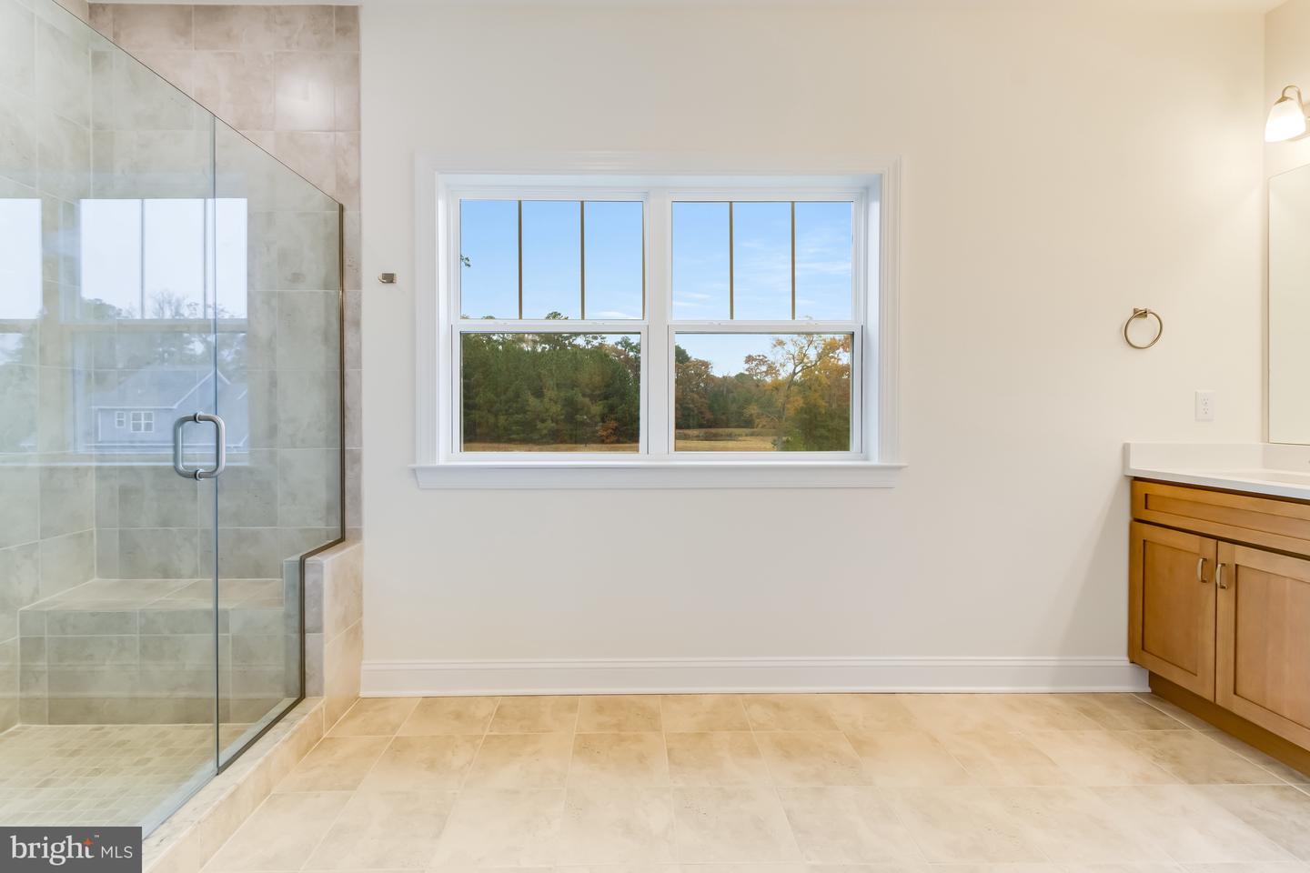 DESU2100724-804325068556-2025-11-21-09-06-14 29273 River Rock Way | Milton, DE Real Estate For Sale | MLS# Desu2100724  - Jack Lingo REALTOR