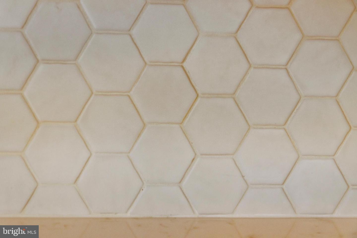 DESU2100854-804321402222-2025-11-21-00-18-21 24 W Atlantic St | Fenwick Island, DE Real Estate For Sale | MLS# Desu2100854  - Jack Lingo REALTOR