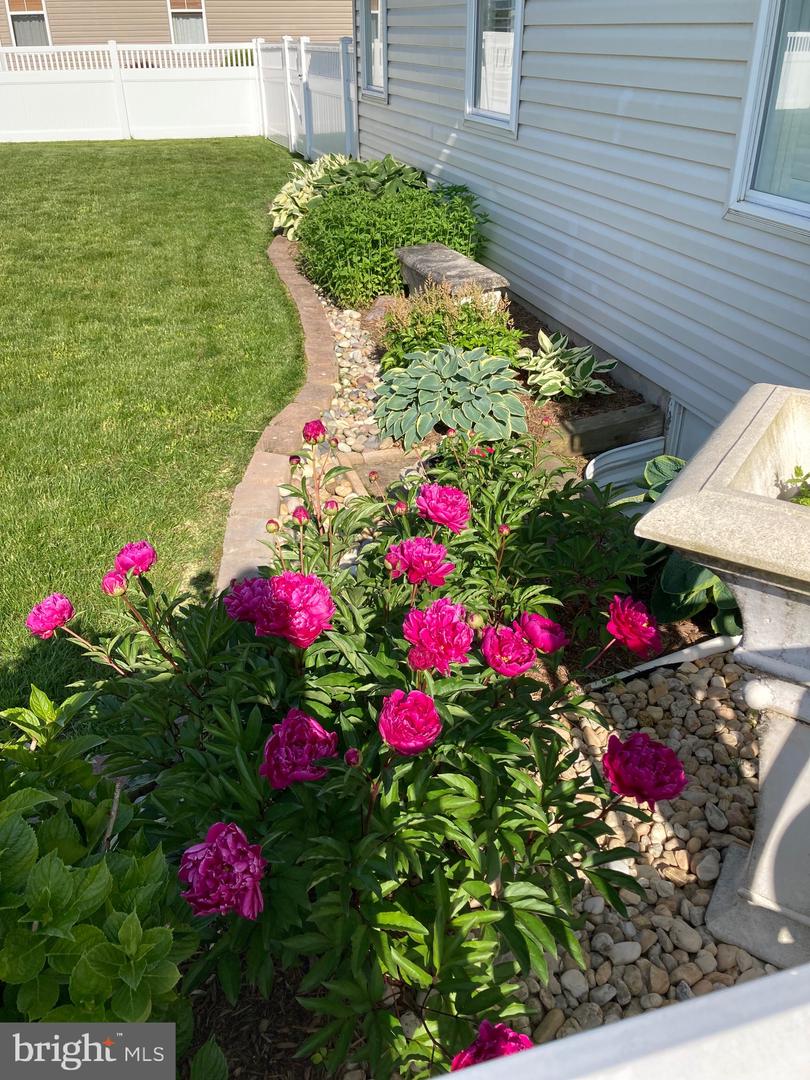 DESU2100906-804327181574-2026-03-26-21-37-08 31436 Waters Way | Lewes, DE Real Estate For Sale | MLS# Desu2100906  - Jack Lingo REALTOR