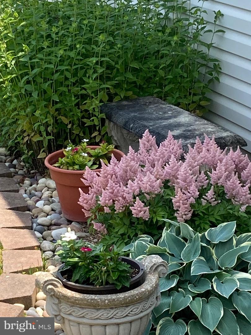 DESU2100906-804327181600-2026-03-26-21-37-09 31436 Waters Way | Lewes, DE Real Estate For Sale | MLS# Desu2100906  - Jack Lingo REALTOR