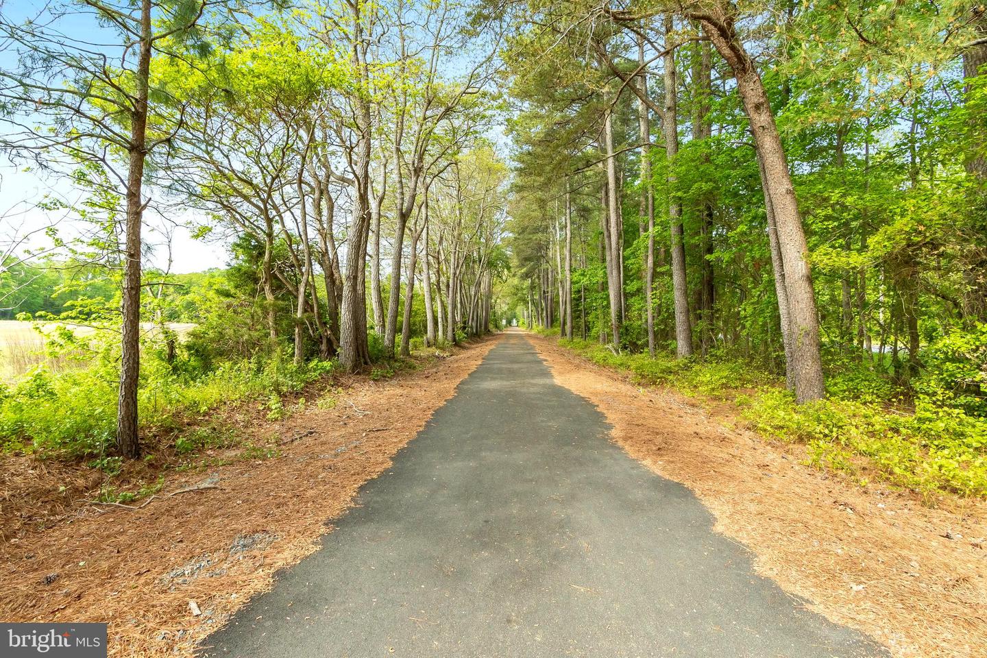 DESU2100946-804325639934-2025-11-24-09-47-01 18526 Cool Spring Rd | Milton, DE Real Estate For Sale | MLS# Desu2100946  - Jack Lingo REALTOR