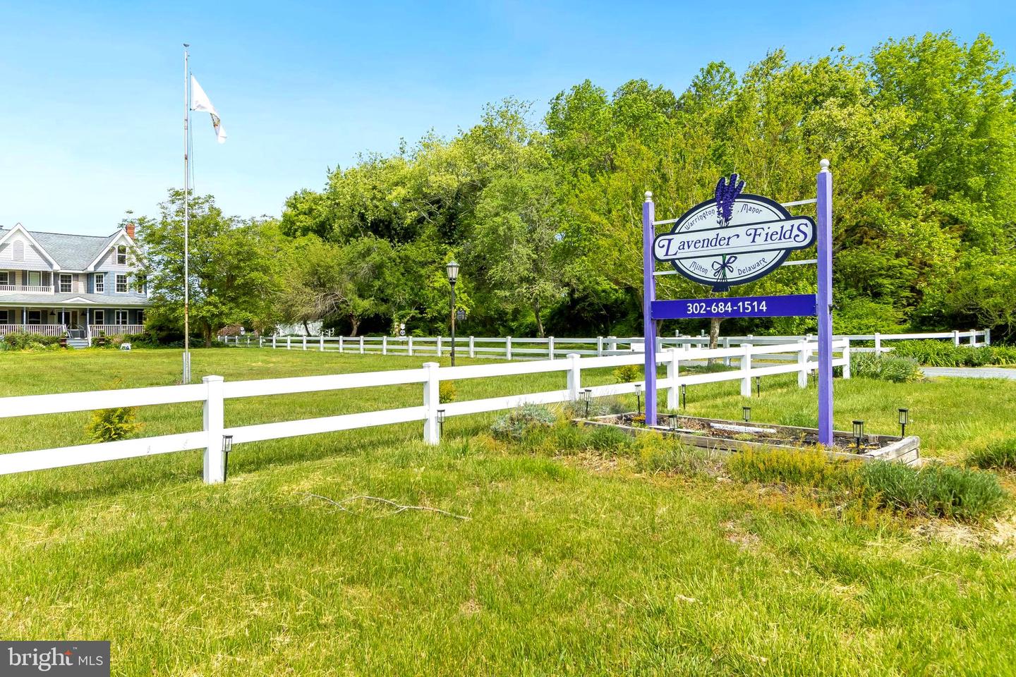 DESU2100946-804325639950-2026-04-02-22-53-23 18526 Cool Spring Rd | Milton, DE Real Estate For Sale | MLS# Desu2100946 - Jack Lingo REALTOR DESU2100946-804325639950-2026-04-02-22-53-23 18526 Cool Spring Rd | Milton, DE Real Estate For Sale | MLS# Desu2100946 - Jack Lingo REALTOR