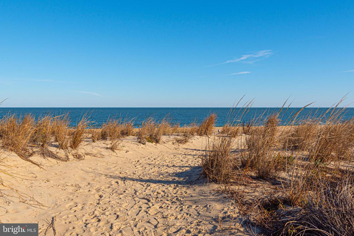 DESU2100990-804331541462-2025-11-26-11-49-11 40209 Maryland Ave | Fenwick Island, DE Real Estate For Sale | MLS# Desu2100990  - Jack Lingo REALTOR