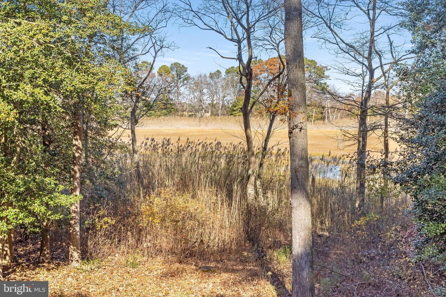 DESU2101190-804333790328-2026-01-23-12-19-04 41333 Gloucester Dr | Rehoboth Beach, DE Real Estate For Sale | MLS# Desu2101190  - Jack Lingo REALTOR