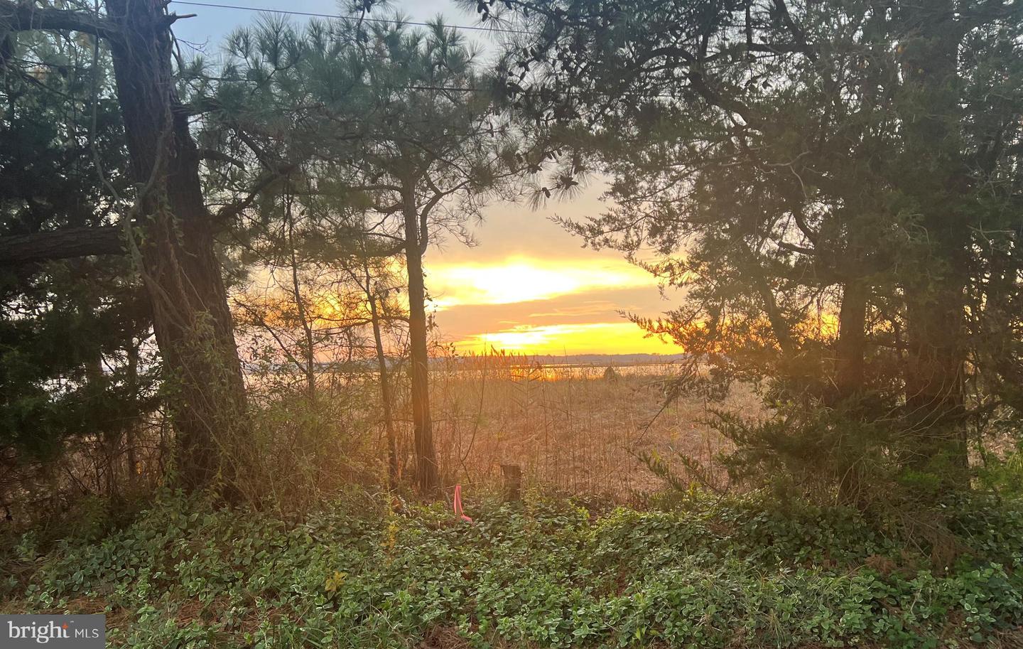 DESU2101196-804337254982-2026-01-15-17-14-57 9248 Shore Dr | Milford, DE Real Estate For Sale | MLS# Desu2101196  - Jack Lingo REALTOR