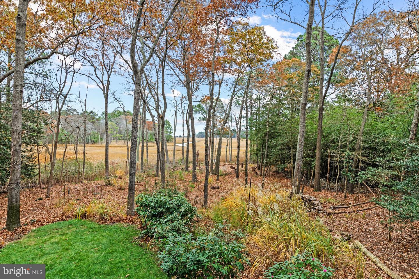 DESU2101206-804481237536-2026-02-14-00-12-18 16939 Ketch Ct | Lewes, DE Real Estate For Sale | MLS# Desu2101206  - Jack Lingo REALTOR