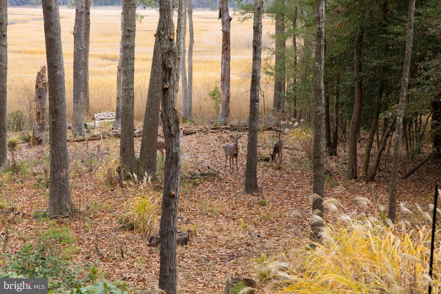 DESU2101206-804481257624-2026-02-14-00-12-23 16939 Ketch Ct | Lewes, DE Real Estate For Sale | MLS# Desu2101206  - Jack Lingo REALTOR