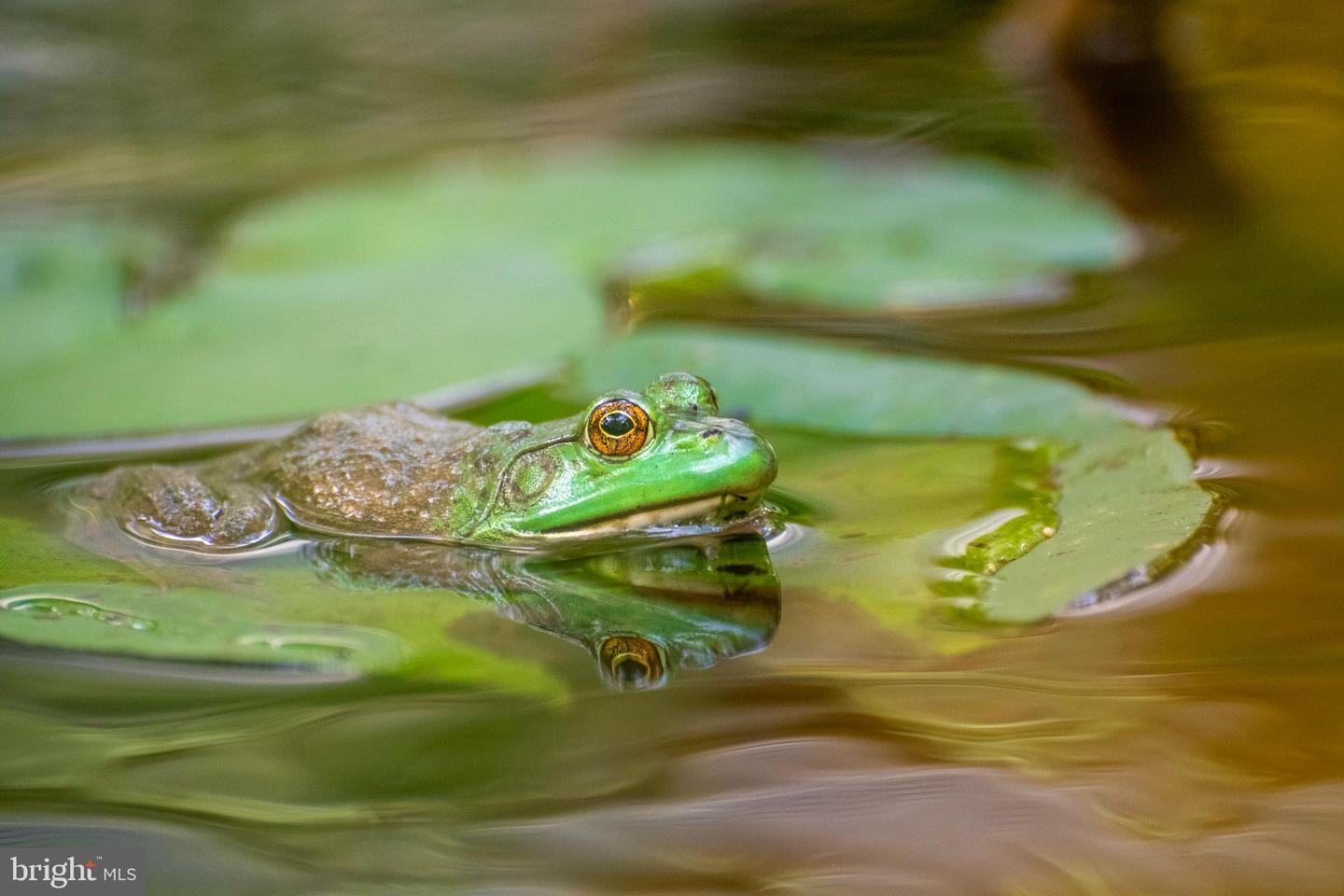 DESU2101206-804517040566-2026-02-14-00-12-11 16939 Ketch Ct | Lewes, DE Real Estate For Sale | MLS# Desu2101206  - Jack Lingo REALTOR