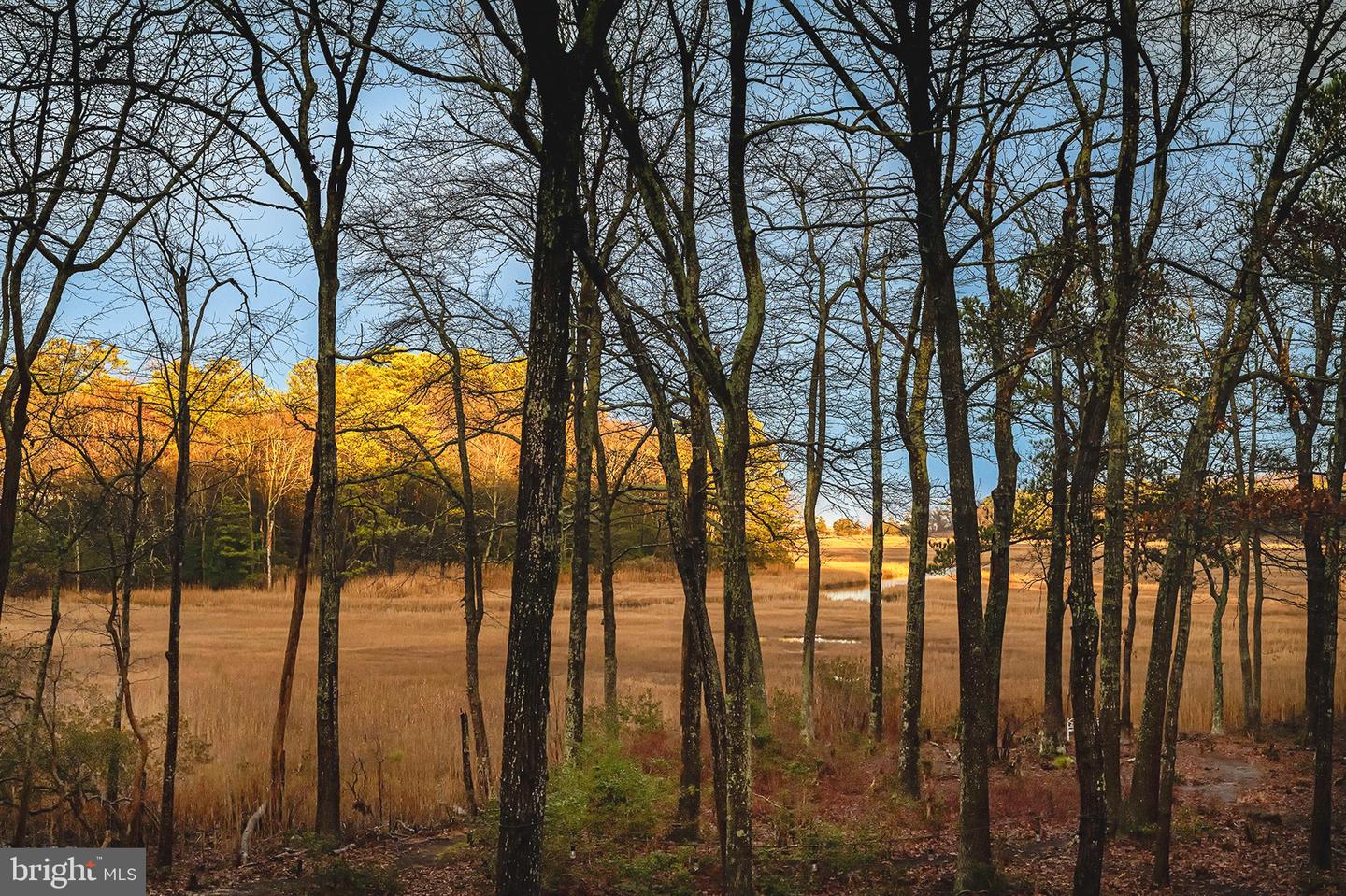 DESU2101206-804517049478-2026-02-14-00-12-25 16939 Ketch Ct | Lewes, DE Real Estate For Sale | MLS# Desu2101206  - Jack Lingo REALTOR