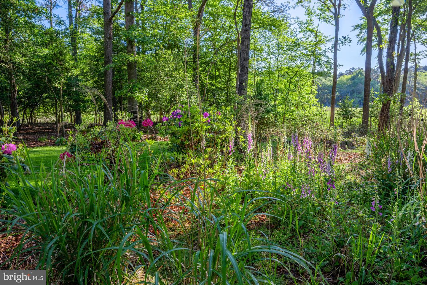 DESU2101206-804518750744-2026-02-14-00-12-32 16939 Ketch Ct | Lewes, DE Real Estate For Sale | MLS# Desu2101206  - Jack Lingo REALTOR