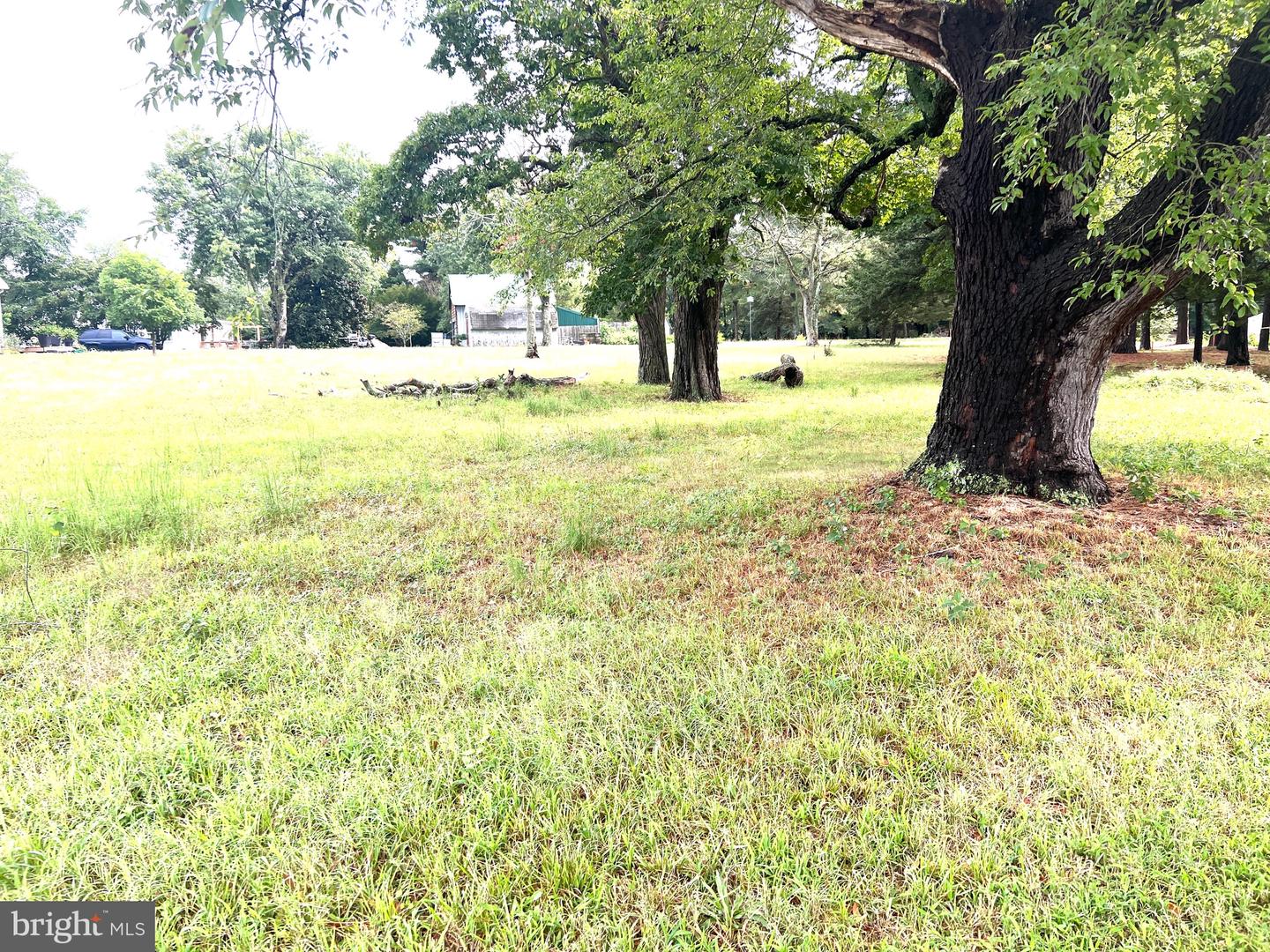 DESU2101284-804337546668-2025-12-01-11-17-38 26532 Jersey Rd | Millsboro, DE Real Estate For Sale | MLS# Desu2101284  - Jack Lingo REALTOR