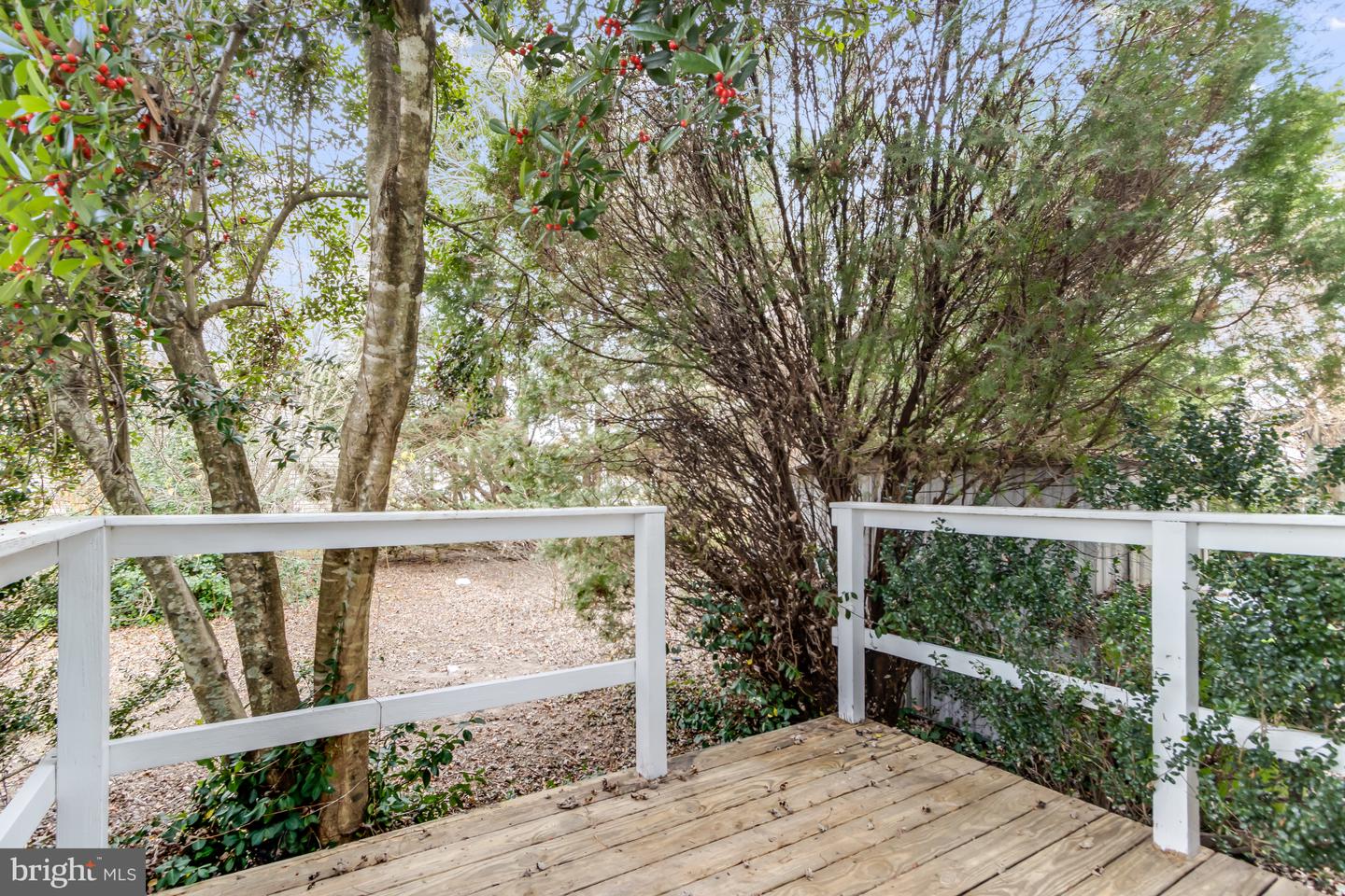 DESU2101298-804337835802-2025-12-12-10-45-12 116 S Spinnaker Ln | Milton, DE Real Estate For Sale | MLS# Desu2101298  - Jack Lingo REALTOR