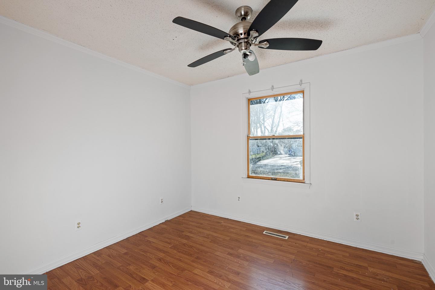 DESU2101314-804422864314-2026-01-08-15-43-08 17063 W Holly Dr | Milton, DE Real Estate For Sale | MLS# Desu2101314  - Jack Lingo REALTOR