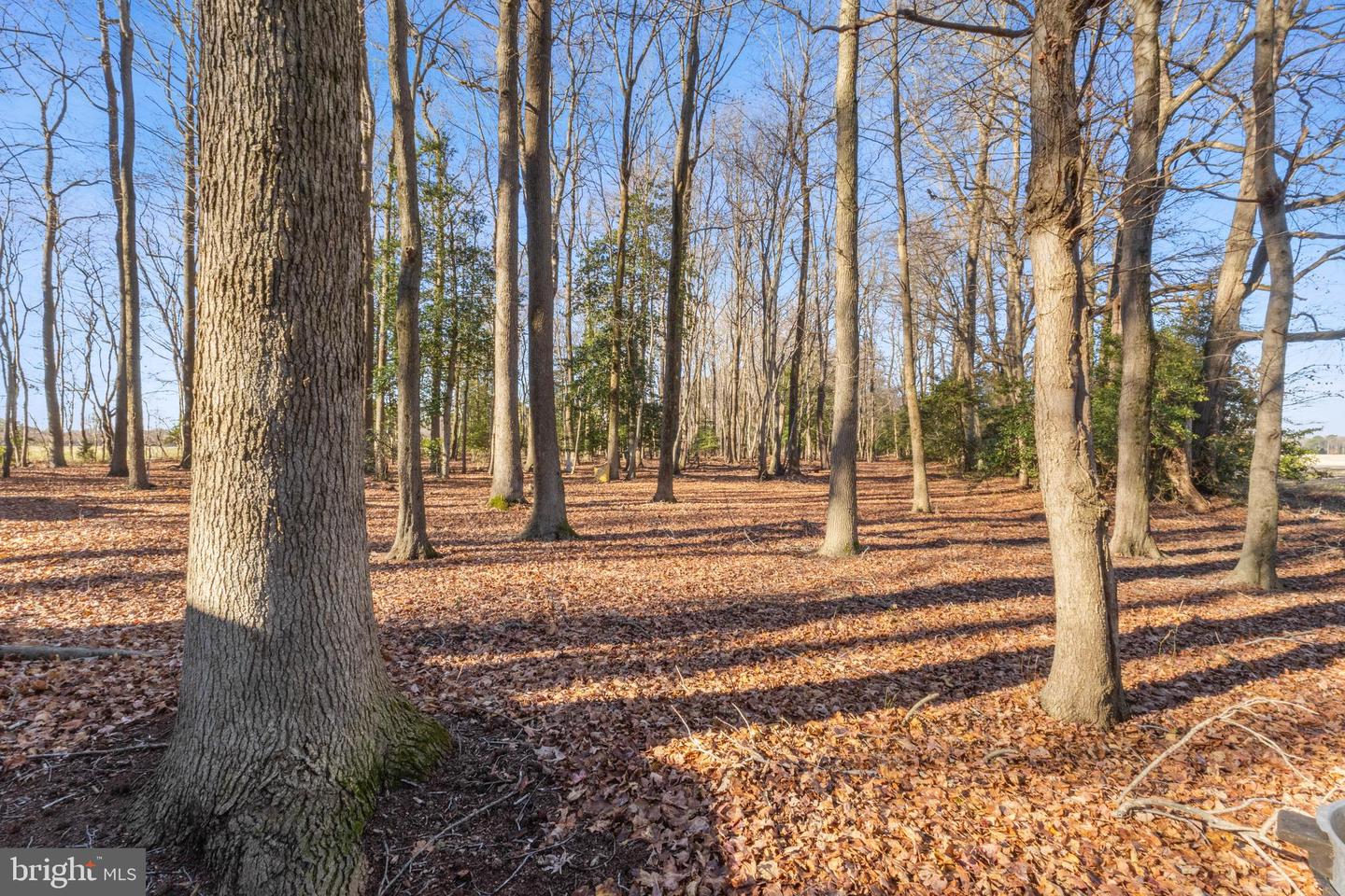 DESU2101456-804350020240-2025-12-12-11-09-59 19268 Deerfield Rd | Bridgeville, DE Real Estate For Sale | MLS# Desu2101456 - Jack Lingo REALTOR DESU2101456-804350020240-2025-12-12-11-09-59 19268 Deerfield Rd | Bridgeville, DE Real Estate For Sale | MLS# Desu2101456 - Jack Lingo REALTOR