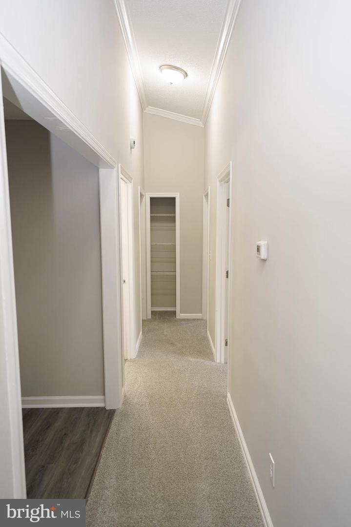 DESU2101462-804343993908-2025-12-04-13-06-36 28975 Aleine Ave | Harbeson, DE Real Estate For Sale | MLS# Desu2101462  - Jack Lingo REALTOR