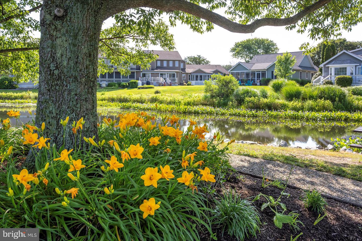 DESU2101618-804426455774-2026-01-16-15-40-55 354 Plantations Blvd | Lewes, DE Real Estate For Sale | MLS# Desu2101618 - Jack Lingo REALTOR DESU2101618-804426455774-2026-01-16-15-40-55 354 Plantations Blvd | Lewes, DE Real Estate For Sale | MLS# Desu2101618 - Jack Lingo REALTOR