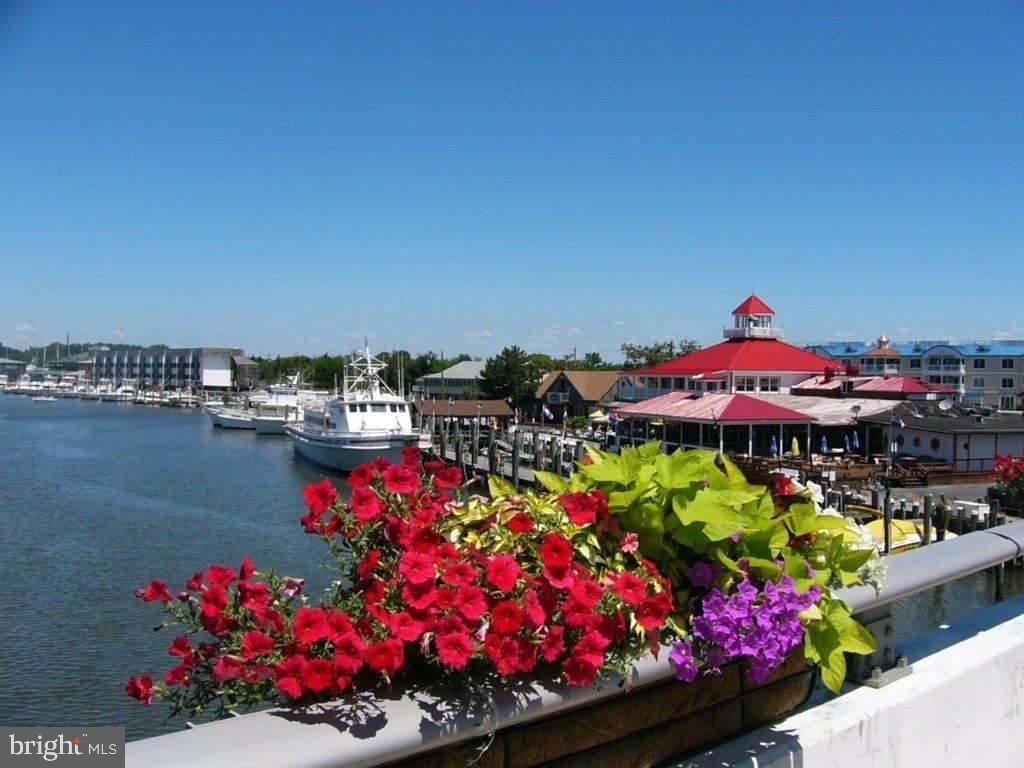 DESU2101618-804426461028-2026-01-16-15-40-56 354 Plantations Blvd | Lewes, DE Real Estate For Sale | MLS# Desu2101618 - Jack Lingo REALTOR DESU2101618-804426461028-2026-01-16-15-40-56 354 Plantations Blvd | Lewes, DE Real Estate For Sale | MLS# Desu2101618 - Jack Lingo REALTOR