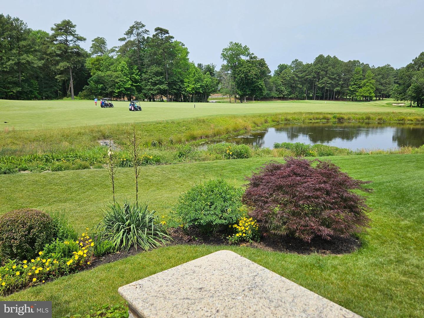 DESU2101724-804355931798-2025-12-11-08-53-53 27875 Roanoke Rapids Lndg | Millsboro, DE Real Estate For Sale | MLS# Desu2101724  - Jack Lingo REALTOR