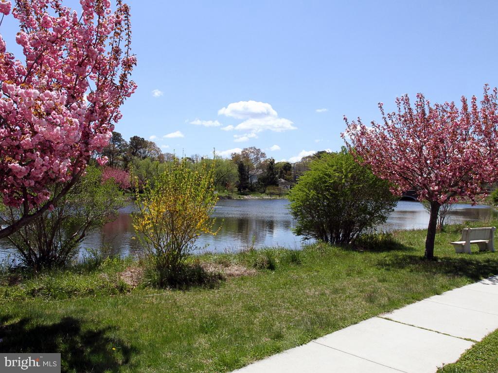 DESU2101740-804357759574-2025-12-11-15-23-44 409 Rehoboth Ave #20 | Rehoboth Beach, DE Real Estate For Sale | MLS# Desu2101740  - Jack Lingo REALTOR