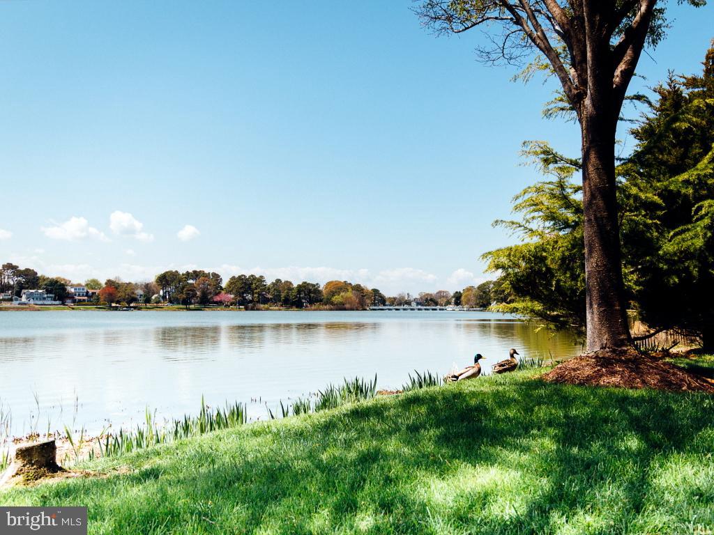 DESU2101740-804357759604-2025-12-11-15-23-50 409 Rehoboth Ave #20 | Rehoboth Beach, DE Real Estate For Sale | MLS# Desu2101740  - Jack Lingo REALTOR