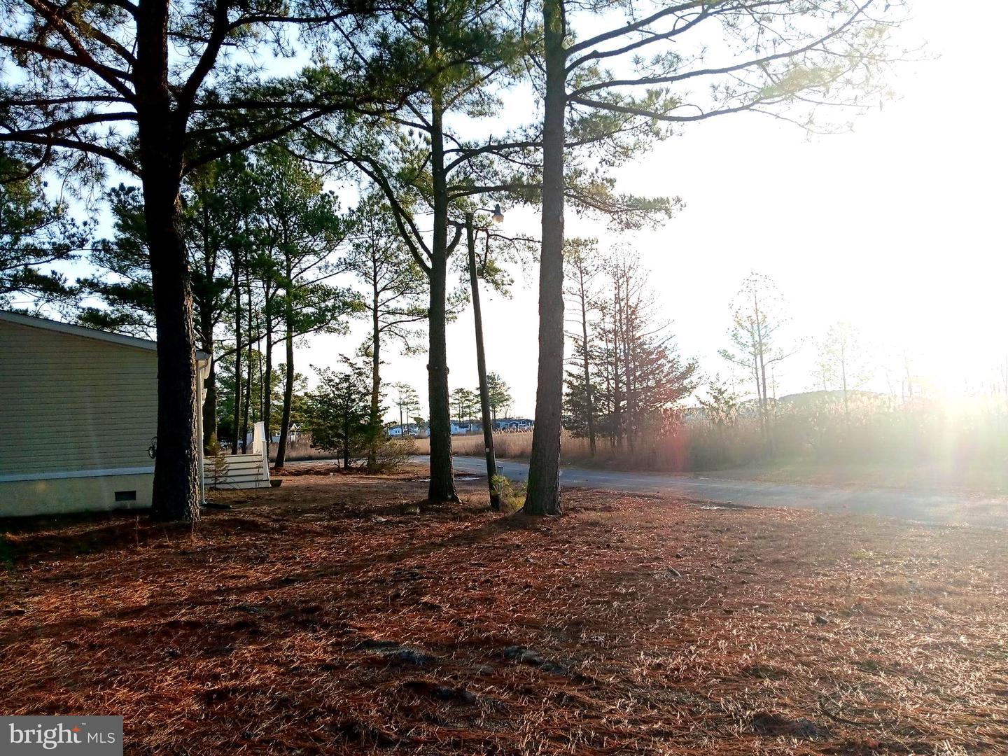 DESU2101808-804380744844-2025-12-31-05-28-47 35397 Apple St #49970 | Millsboro, DE Real Estate For Sale | MLS# Desu2101808 - Jack Lingo REALTOR DESU2101808-804380744844-2025-12-31-05-28-47 35397 Apple St #49970 | Millsboro, DE Real Estate For Sale | MLS# Desu2101808 - Jack Lingo REALTOR