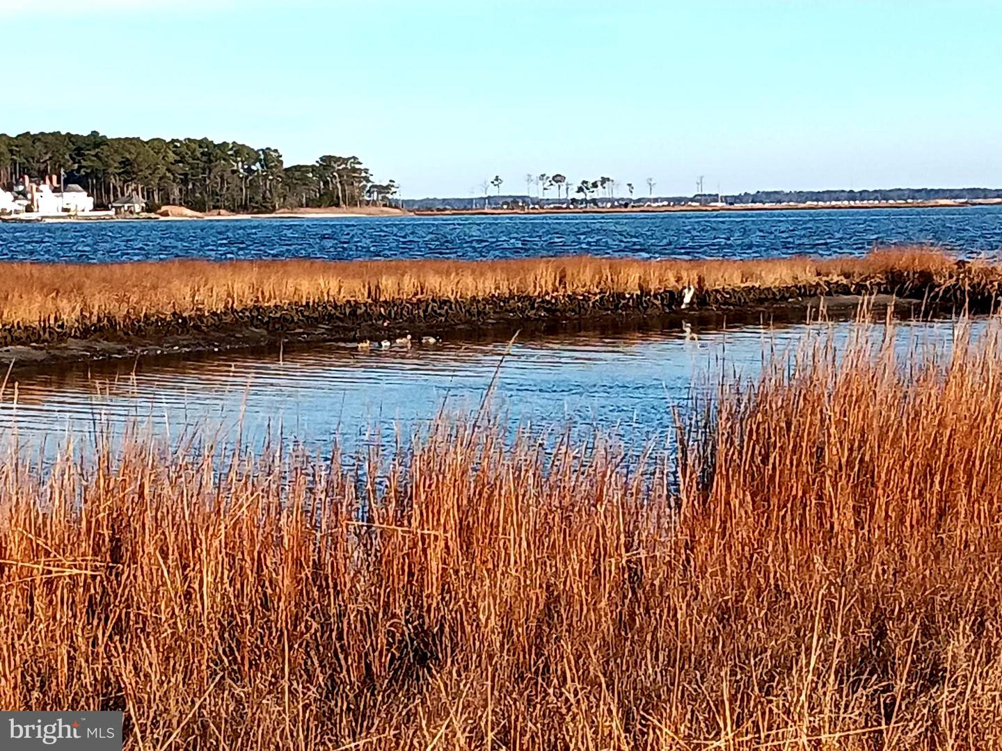 DESU2101808-804380745498-2025-12-21-12-46-10 35397 Apple St #49970 | Millsboro, DE Real Estate For Sale | MLS# Desu2101808 - Jack Lingo REALTOR DESU2101808-804380745498-2025-12-21-12-46-10 35397 Apple St #49970 | Millsboro, DE Real Estate For Sale | MLS# Desu2101808 - Jack Lingo REALTOR