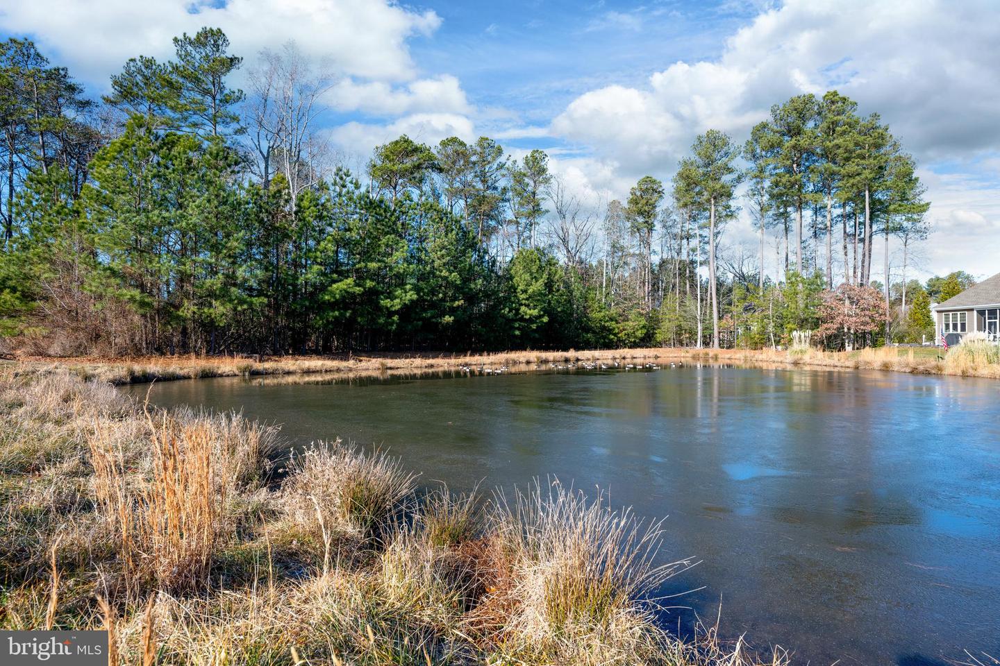 DESU2102026-804409823256-2026-02-13-09-33-29 21332 N Acorn Way | Lewes, DE Real Estate For Sale | MLS# Desu2102026 - Jack Lingo REALTOR DESU2102026-804409823256-2026-02-13-09-33-29 21332 N Acorn Way | Lewes, DE Real Estate For Sale | MLS# Desu2102026 - Jack Lingo REALTOR