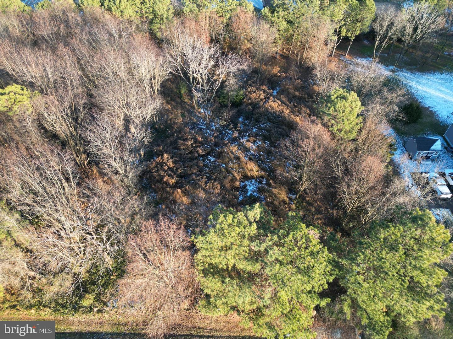 DESU2102050-804378445452-2025-12-19-12-55-07 Lot #4 Falling Point Road | Dagsboro, DE Real Estate For Sale | MLS# Desu2102050  - Jack Lingo REALTOR