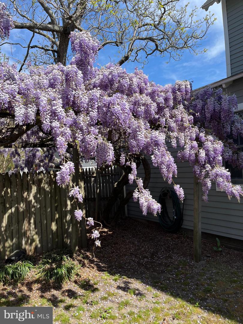 DESU2102570-804488489252-2026-02-27-17-30-25 206 E Market St | Lewes, DE Real Estate For Sale | MLS# Desu2102570  - Jack Lingo REALTOR