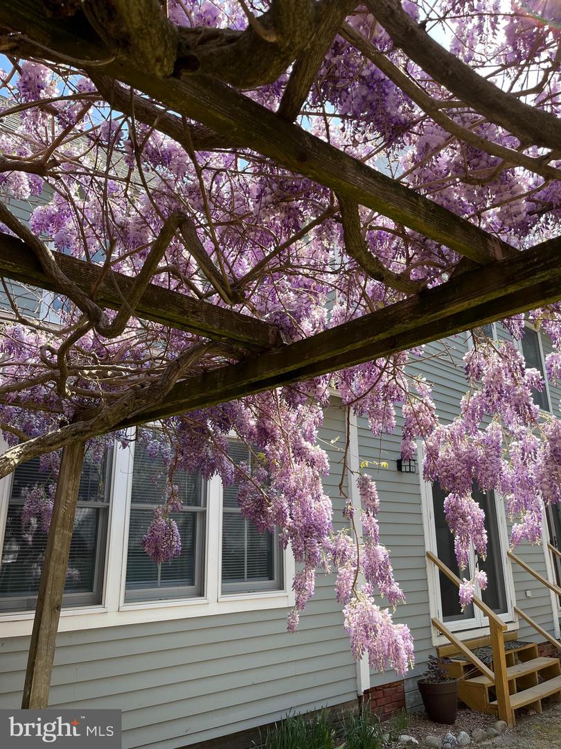 DESU2102570-804488490748-2026-02-01-10-33-04 206 E Market St | Lewes, DE Real Estate For Sale | MLS# Desu2102570  - Jack Lingo REALTOR