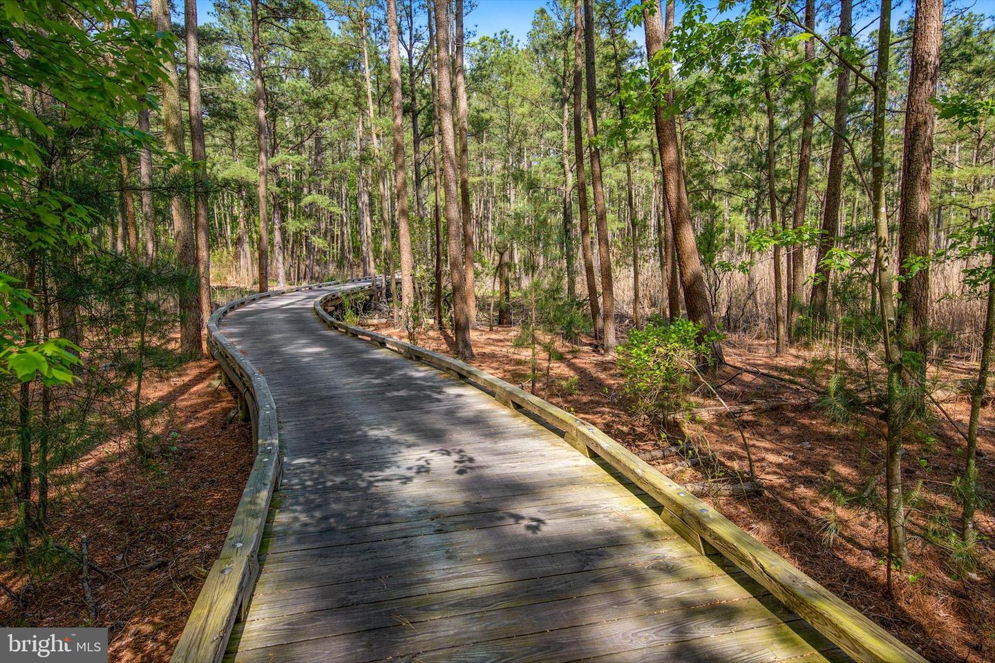 DESU2102618-804445310478-2026-01-15-14-42-23 33418 Islander Dr | Millsboro, DE Real Estate For Sale | MLS# Desu2102618  - Jack Lingo REALTOR