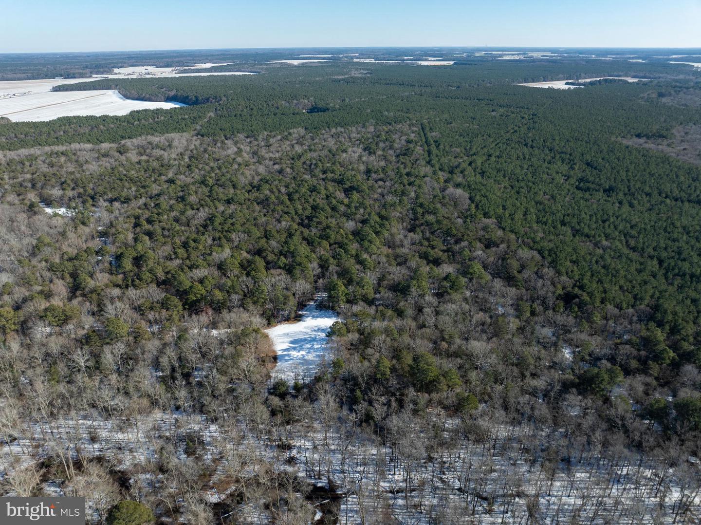 DESU2102620-804413682376-2026-01-06-12-54-45 0 Rt 524 | Seaford, DE Real Estate For Sale | MLS# Desu2102620  - Jack Lingo REALTOR