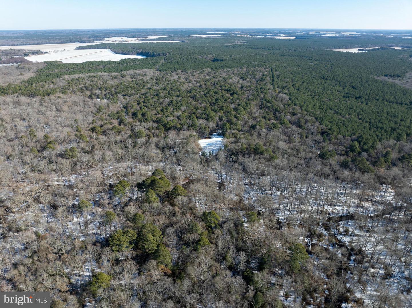 DESU2102620-804413682388-2026-01-06-12-54-44 0 Rt 524 | Seaford, DE Real Estate For Sale | MLS# Desu2102620  - Jack Lingo REALTOR